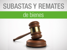 CONSULTA DE REMATES Y SUBASTAS